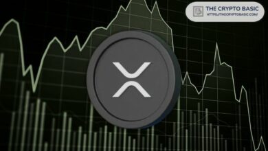 "خبير: استحواذ Ripple على Circle سيدفع تطور XRP في التمويل العالمي – اكتشف التفاصيل الآن!"