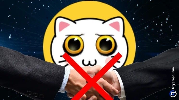 مؤسسو KIKI يتصادمون ويمزقون حلم العملات الرقمية - اكتشف التفاصيل الآن!