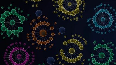 "إطلاق Bubblemaps V2 على BNB Chain: تعزيز الشفافية المطلقة للعملات الرقمية – اكتشف التفاصيل الآن!"