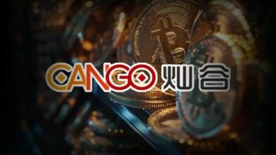 نجاح تعدين البيتكوين في كانجو: حيازات المؤسسات من BTC ترتفع إلى 2,944.8 – اكتشف التفاصيل الآن!