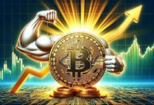 سعر البيتكوين يثبت مكاسبه – هل يشهد نطاق التداول اختراقًا قريبًا؟ اكتشف الآن!