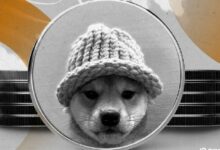 "بيبي و WIF يقودان صعود عملات الميم بينما تعود أسواق العملات الرقمية إلى الحياة – اكتشف التفاصيل الآن!"