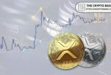 تحليل سحابة إيشيموكو: XRP قد يصل إلى 6 دولارات أو 30 دولارًا حسب تحركاته مقابل البيتكوين – اكتشف التفاصيل الآن!