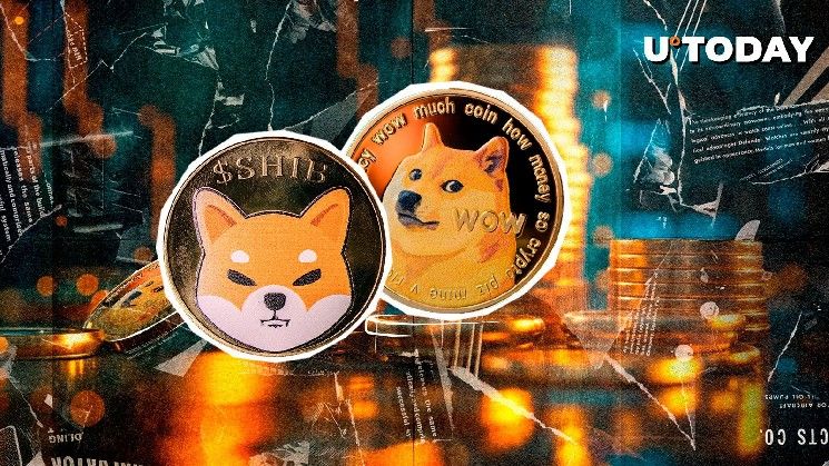 "شيبا إينو (SHIB) ودوجكوين (DOGE) تخسران قيمتهما وسط تراجع الاهتمام بالسوق – تعرف على الأسباب الآن!"