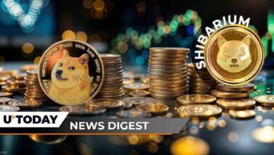 "صدمة للمتداولين على المكشوف: اختلال تصفية بنسبة 123% يهز سوق دوجكوين، بينما يحقق شباريوم اختراقًا كبيرًا في الانتشار! بينانس تُعلن إيقاف عناوين الإيداع الحالية لـ IOTA – موجز أخبار العملات الرقمية من U.Today"