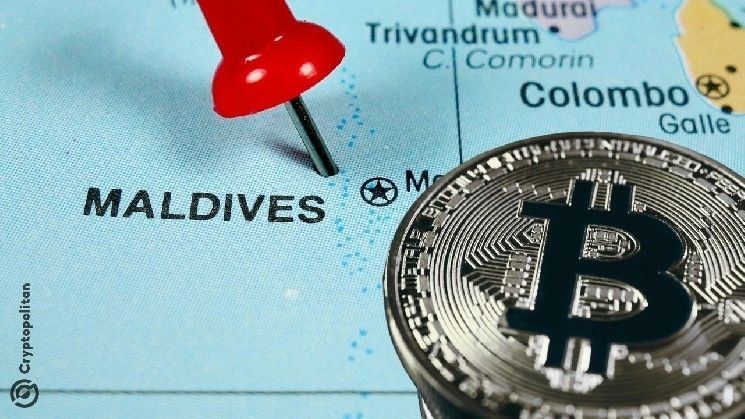 "شركة دبي تستثمر 8.8 مليار دولار من العملات الرقمية في جزر المالديف – أكثر من إجمالي الناتج المحلي للبلاد!"