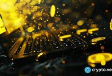 المحافظ الرقمية هي بنوك الأسواق الناشئة.. تقرير Bitget يكشف التفاصيل