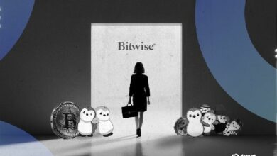 لماذا ترك مدير صندوق في "بلاك روك" وظيفته ليتاجر في البيتكوين وNFTs "بادي بنجوينز"؟ اكتشف القصة الكاملة الآن!