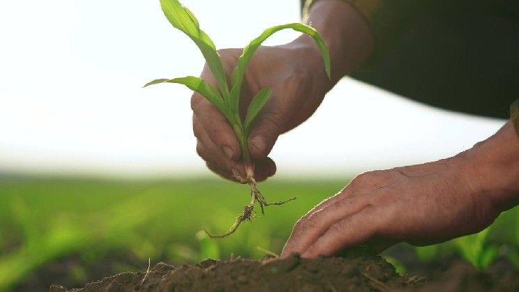 "روتستوك تحقق رقمًا قياسيًا في التعدين المدمج رغم تراجع نشاط المستخدمين في الربع الأول – اكتشف التفاصيل الآن!"