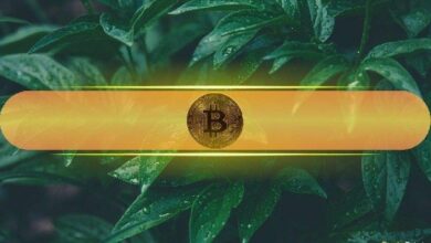 "بتكوين يتطلع إلى 110 ألف دولار والأسواق الرقمية تتعافى مع تأجيل ترامب للرسوم الجمركية على الاتحاد الأوروبي – تعرف على التفاصيل الآن!"