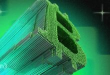 "رهان البيتكوين ينجح: أسهم ميتابلانيت تقفز أكثر من 15 ضعفًا في عام واحد – اكتشف التفاصيل الآن!"