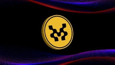 "حركة لابز تُوقف أحد المؤسسين وسط جدل حول صانع السوق – اكتشف التفاصيل الآن!"