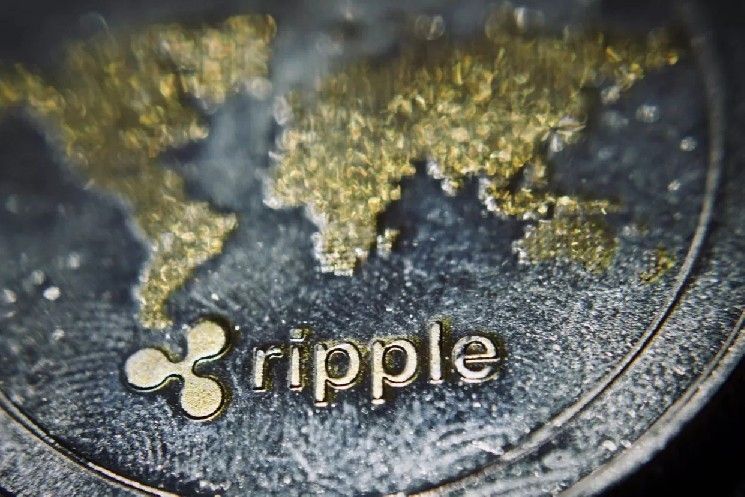 تقرير مُتوقع عن Ripple (XRP) صدر للتو: تعرّف على أحدث مستجدات حالة الشبكة وصحتها الآن!