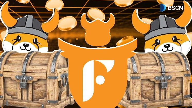 كيف يعمل FlokiFi Locker؟ دليل شامل لفهم آلية عمله واستخداماته