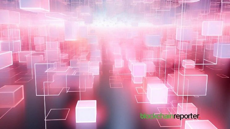 شبكة كالب تتعاون مع لوفا لتعزيز الخصوصية في الويب3 وتحسين الوصول إلى الأصول الواقعية (RWA)