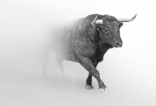 "شركة تحليل تقدم توقعات صعودية قوية للإيثيريوم: 'في سيناريو وصول البيتكوين إلى 300 ألف دولار، ETH...' - اكتشف التفاصيل الآن!"