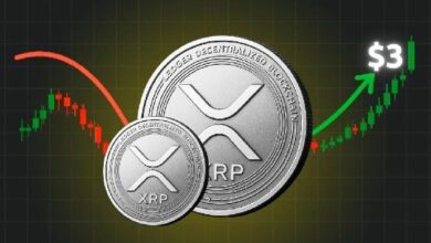 توقع سعر XRP: خبير يؤكد "قد يكون هذا هو البيتكوين القادم" – اكتشف التفاصيل الآن!