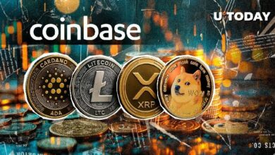 "تحذير من Coinbase لحاملي XRP و DOGE و ADA: تعرف على السبب الآن!"