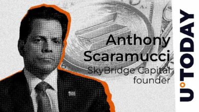 توقع سكاراموتشي تبني كبار اللاعبين لـ Solana: التفاصيل الكاملة التي يجب أن تعرفها