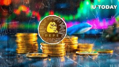 11.75 تريليون بيبي في 24 ساعة: الحيتان تطلق العنان لقوتها!