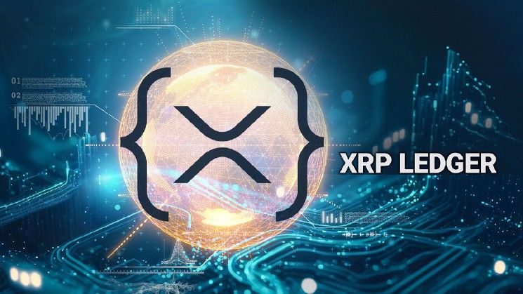 جميع مقاييس شبكة دفتر حسابات XRP تسجل نموًا: تقرير جديد يكشف التفاصيل