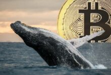 "حوت البيتكوين الغامض يعود للحركة: يُجري معاملات يوميًا تقريبًا – اكتشف التفاصيل الآن!"