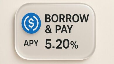 "Bitpay تطلق HODL Pay لتمكين الإنفاق باستخدام Stablecoins المدعومة بالعملات الرقمية – تعرف على المزيد!"