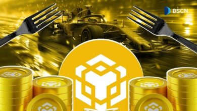 ما هي هارد فورك ماكسويل لـ BNB Chain؟ تعرف على أهم التحديثات الآن!