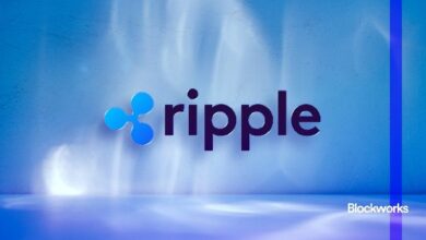 كيف بنت Ripple "قيمة اجتماعية"؟ رئيس الاستثمار في Arca يوضح