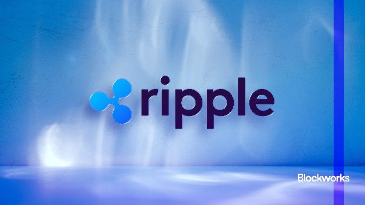 كيف بنت Ripple "قيمة اجتماعية"؟ رئيس الاستثمار في Arca يوضح