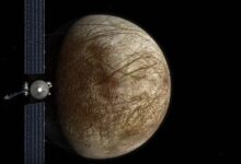 ارتفاع سعر جوبيتر وسط التوسع ودفعة البيتكوين الإيجابية – اكتشف التفاصيل الآن!