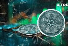 "410 مليون كاردانو (ADA) في أبريل: هل الحيتان تتجه نحو الصعود؟ اكتشف التفاصيل الآن!"