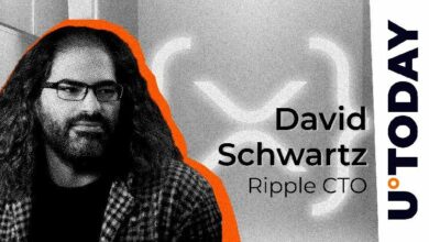 "رئيس التقنية في Ripple ينهي التكهنات حول فقدان كتل XRP ليدجر – اكتشف التفاصيل الآن!"