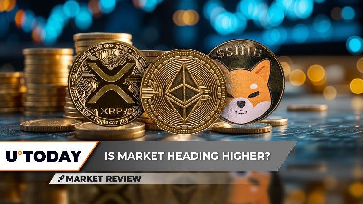 "سعر XRP على وشك الانفجار صعودًا، Ethereum (ETH) تتجه نحو 3000 دولار، Shiba Inu (SHIB) تستعد لعبور ذهبي مذهل – تعرف على التفاصيل الآن!"