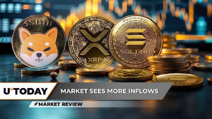 **XRP: هنا يمكن أن يبدأ التعافي! هل تستطيع مواكبة صعود سولانا (SOL) المذهل؟ ومتى سيتحرك شيبا إنو (SHIB)؟**