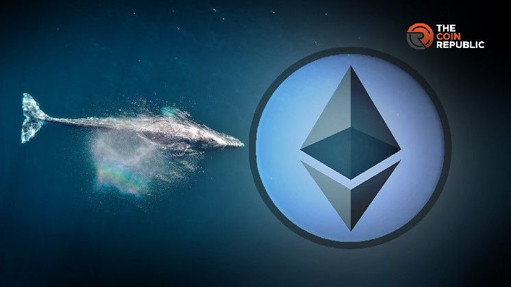 هل يستعيد سعر الإيثيريوم مستوى 2600 دولار مع توقع الحيتان في "بينانس" للارتفاع؟ اكتشف الآن!