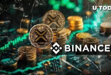 "XRP يشهد اختلالًا غير معتاد بين كبار المتداولين على Binance – اكتشف التفاصيل الآن!"