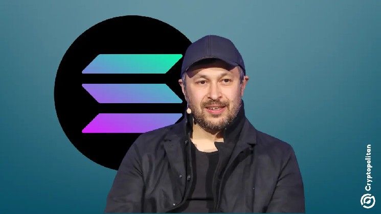 "أناتولي المؤسس المشارك لـ Solana يطرح مفهوم ميتا-بلوكشين الجديد: اكتشف المستقبل الآن!"