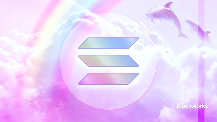 صعود "فايب كودينج" على سولانا: تعرف على مستقبل الترميز الممتع!