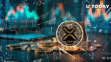 14,140,665 XRP محبوسة في مجمعات AMM مع تجدد الاهتمام – اكتشف التفاصيل الآن!
