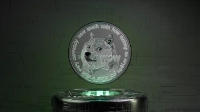 "عملة Dogecoin في انخفاض: إلى أي مدى يمكن أن يهبط سعر DOGE؟ اكتشف الآن!"
