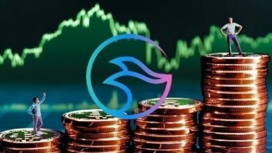 توقع سعر MANTA 2025-2031: هل سينجح مشروع Manta Network أم سينهار؟ اكتشف المستقبل الآن!