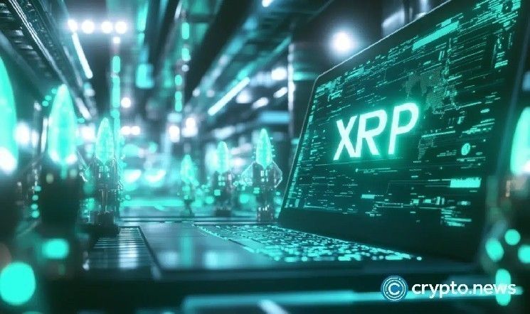 أخبار XRP: خسارة Ripple القانونية وتحويل 439 مليون دولار يشعلان موجة بيع كبيرة – تعرف على التفاصيل الآن!