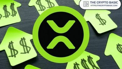 احتفظ بـ 1,000 XRP وتوقع ربحًا لا يقل عن 50,000 دولار هذا العام: توقعات محلل