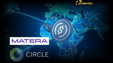 "شراكة Circle وMatera تفتح أبواب الحسابات متعددة العملات عالميًا باستخدام USDC – اكتشف التفاصيل الآن!"