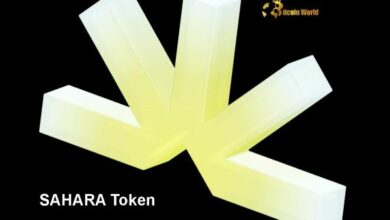 "شركة Sahara AI تطلق عملة SAHARA: قفزة واعدة نحو الذكاء الاصطناعي اللامركزي - اكتشف التفاصيل الآن!"