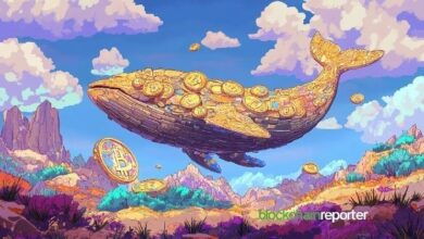 "حيتان البيتكوين تثبت على ممتلكاتها بينما تتدفق 3 مليارات دولار فقط إلى بينانس – اكتشف التفاصيل الآن!"