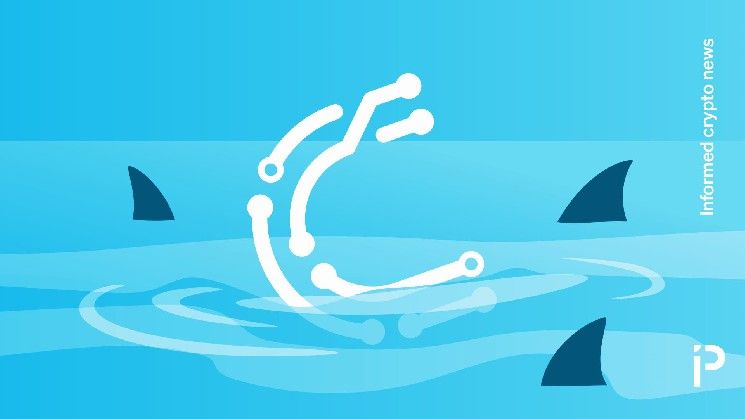 وول ستريت تحب بيع أسهم الخزينة المشفرة – اكتشف السبب الآن!