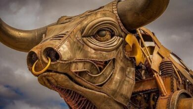 "بتكوين يتجه للصعود مع تراجع مؤشر الدولار.. ونفيديا تسجل مستويات قياسية رغم إشارات الركود – تعرف على التفاصيل!"