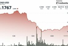 "دوجكوين تهبط بنسبة 12٪ وسط جدل ترامب وماسك – اكتشف التفاصيل الآن!"